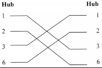 graphic3.jpg (24923 bytes)